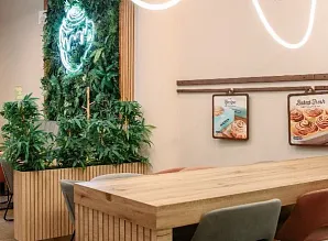 Барная стойка и мебель для кафе-пекарни Cinnabon в ТЦ «Парк Молл» в Санкт-Петербурге Фото 5